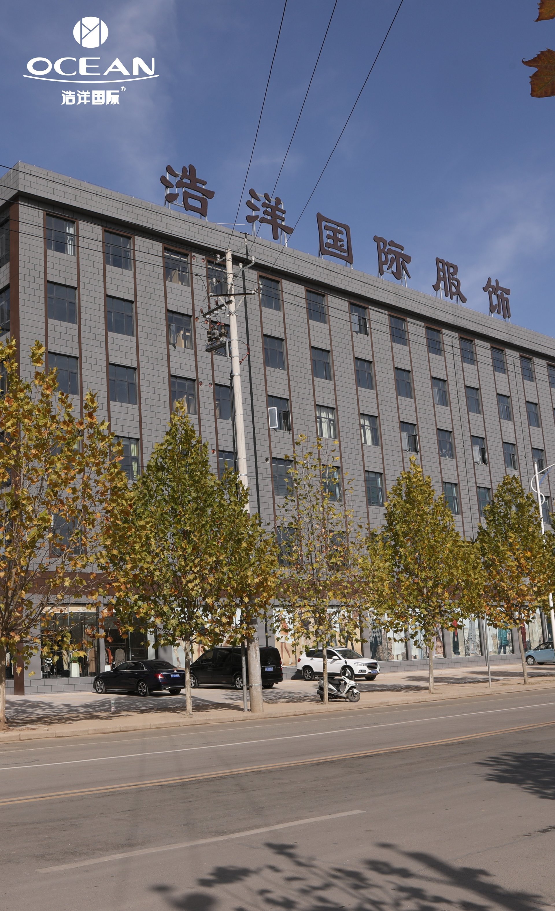 盧氏小程序