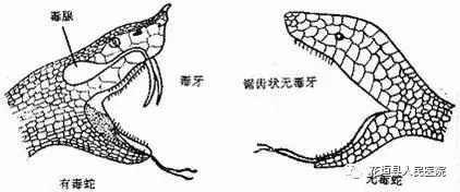 花垣县人民医院