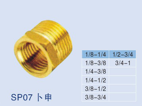 SP07樸申