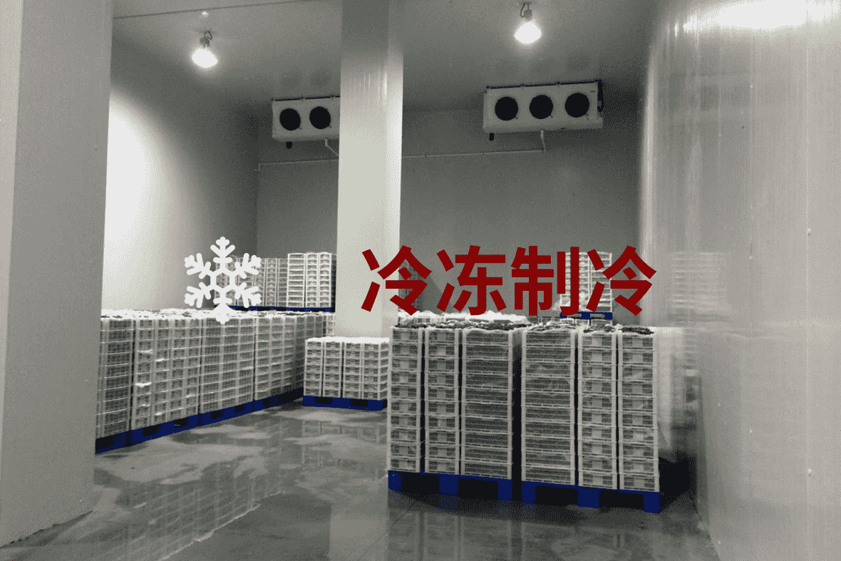 冷凍制冷