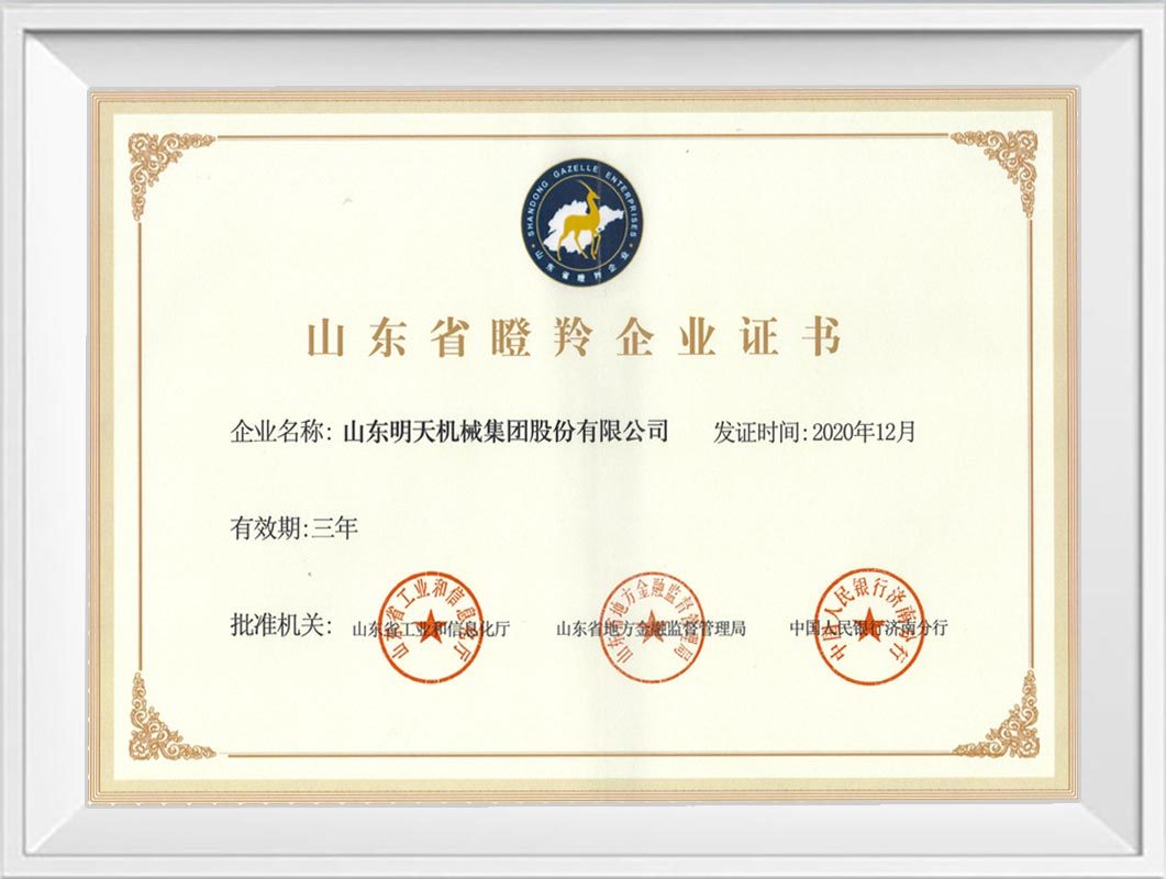 山东省瞪羚企业证书