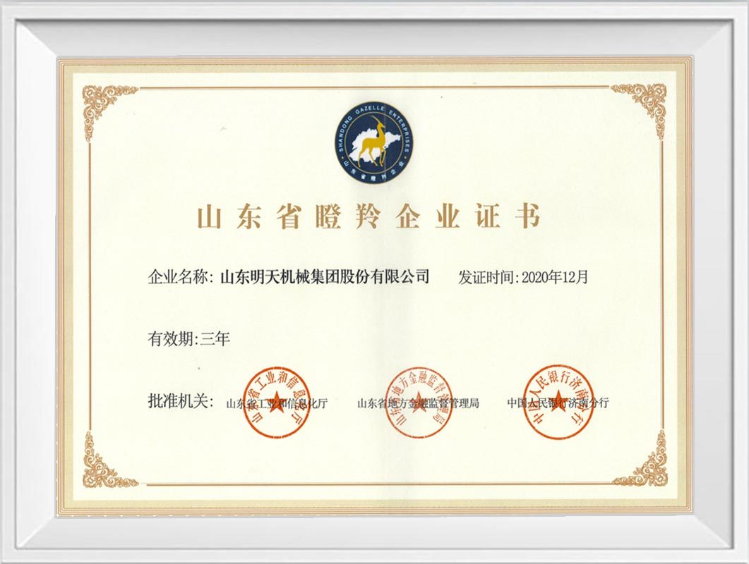 Shandong Province Gazelle Enterprise Certificate