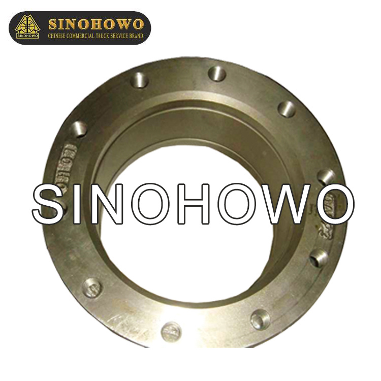 Brake Plate WG9100443003