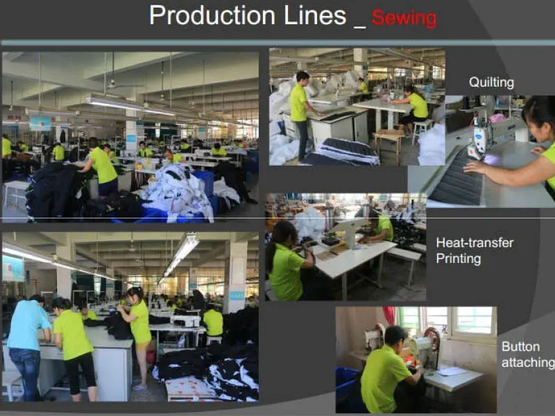 Sample&Design Section