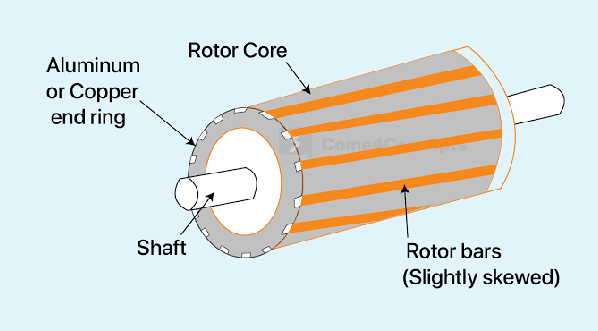 rotor