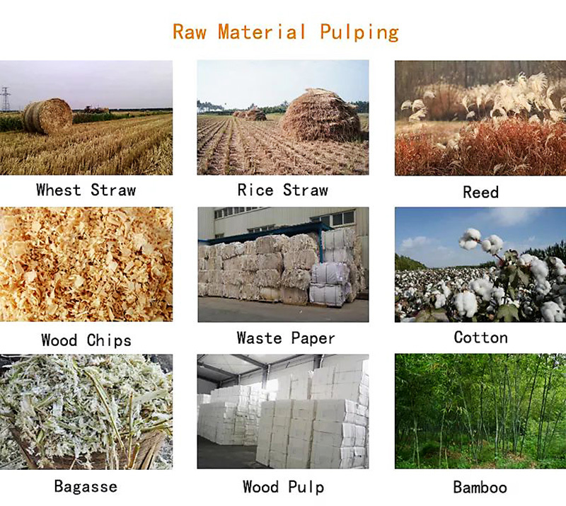 1.Pulp making section; 