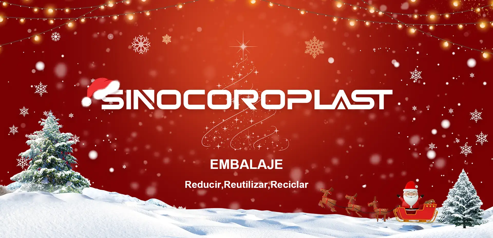 Sinocoroplast