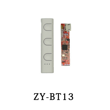 ZY-BT13