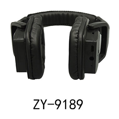 ZY-9189