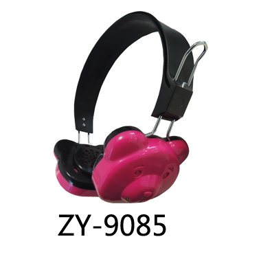 ZY-9085