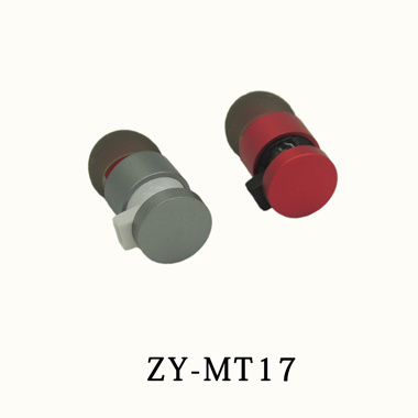 ZY-MT17