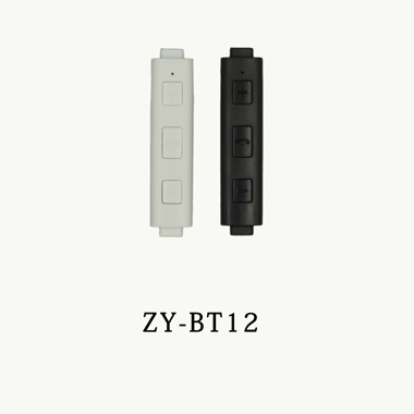 ZY-BT12