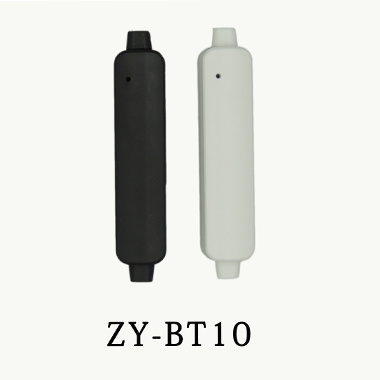 ZY-BT10