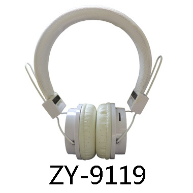 ZY-9119