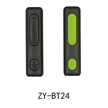 ZY-BT24
