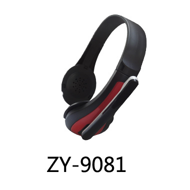 ZY-9081