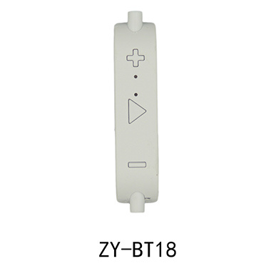 ZY-BT18