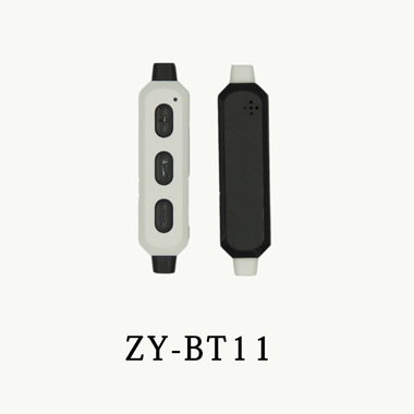ZY-BT11