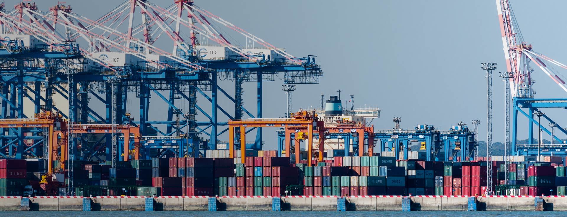 International Import and Export Trading Co., Ltd.