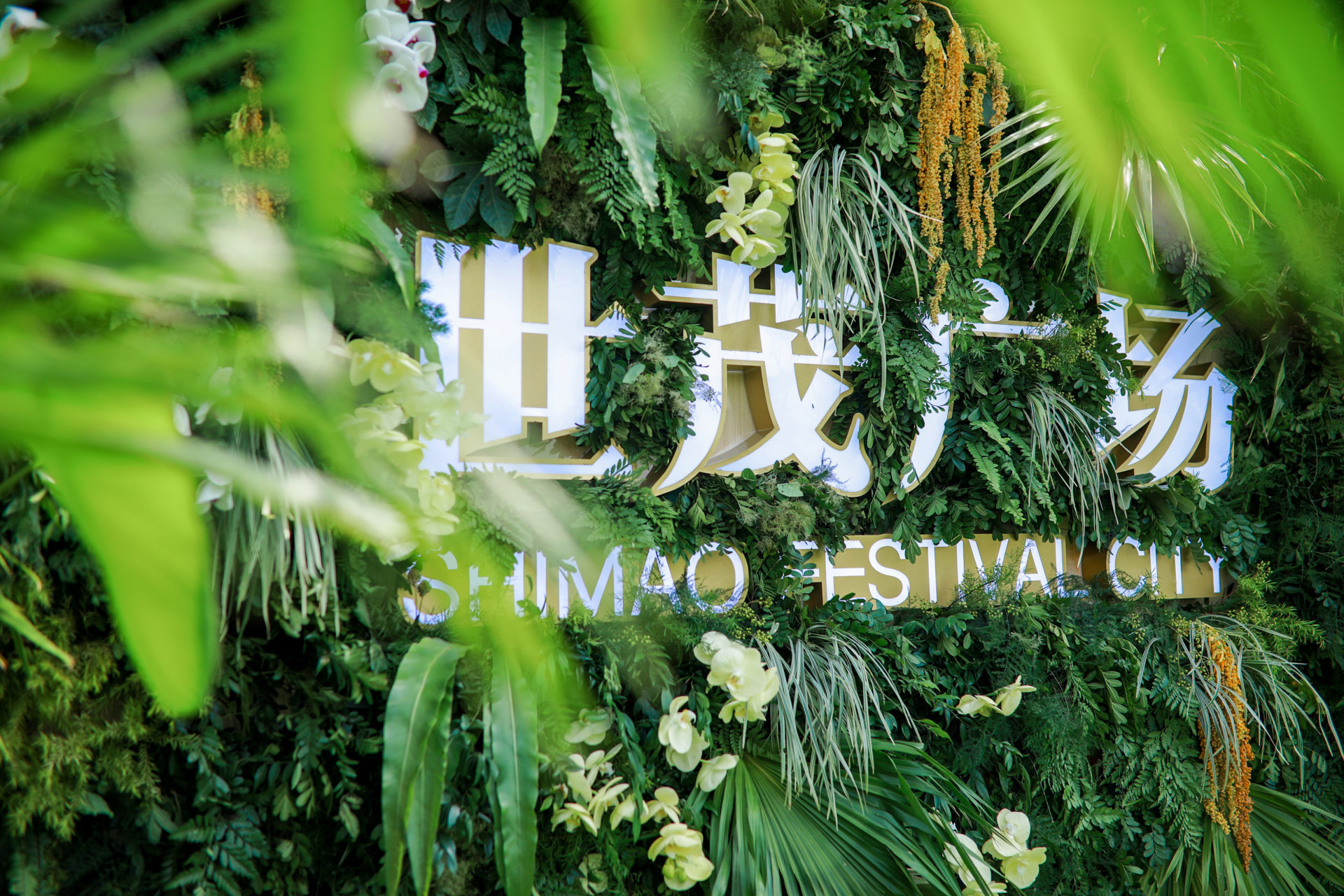 以匠心敬不凡丨献给厦门城市的美好告白