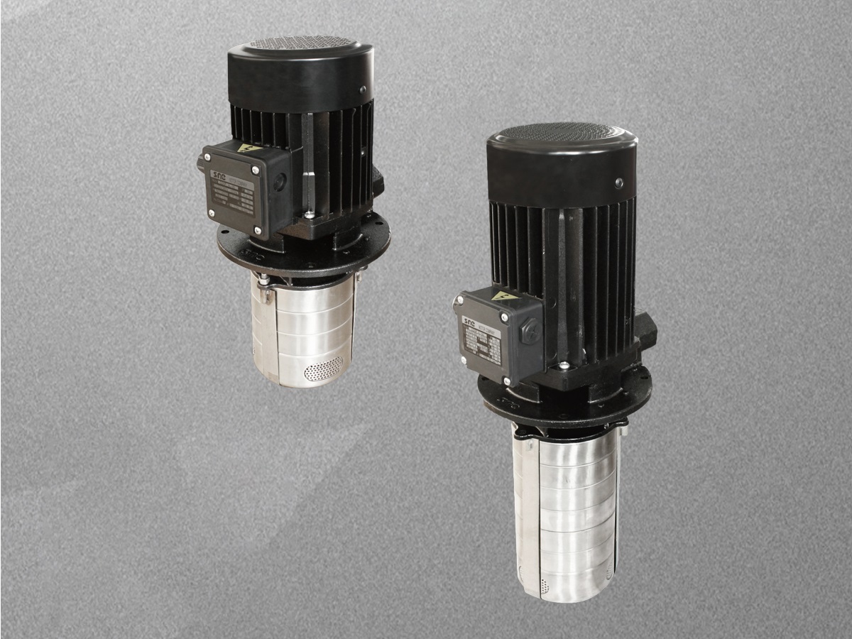 Vertical Multistage Centrifugal Pump (CDSP4L Series)