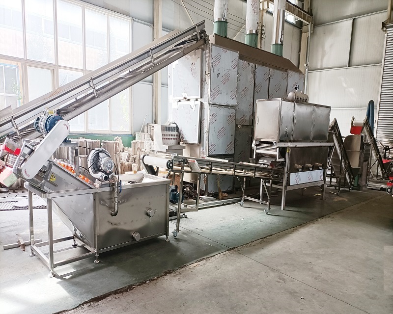 Garlic Peeling Machine Garlic Peeling Machine