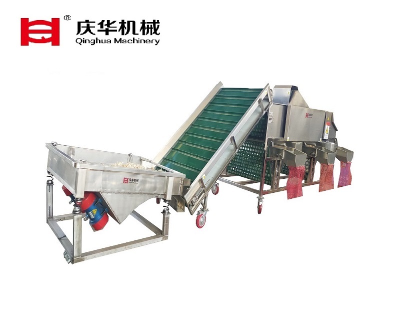 Garlic Grading Machine Garlic Grading Machine