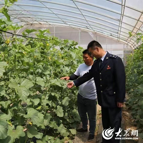 山东济南：“税力量”春来助农忙，又是一年“粮”辰美景