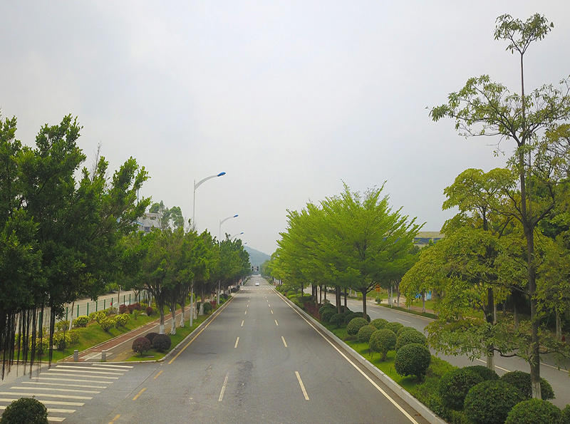 道路两侧乔灌木效果图_看图王.jpg