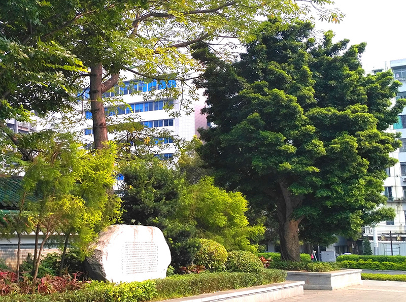 IMG_20190807_150458_看图王.jpg