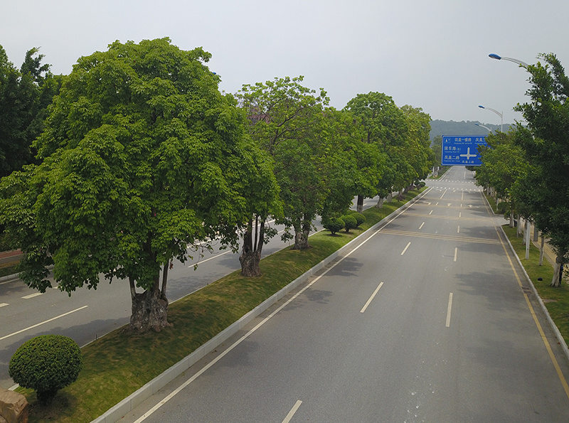 道路绿化带草地效果图.jpg