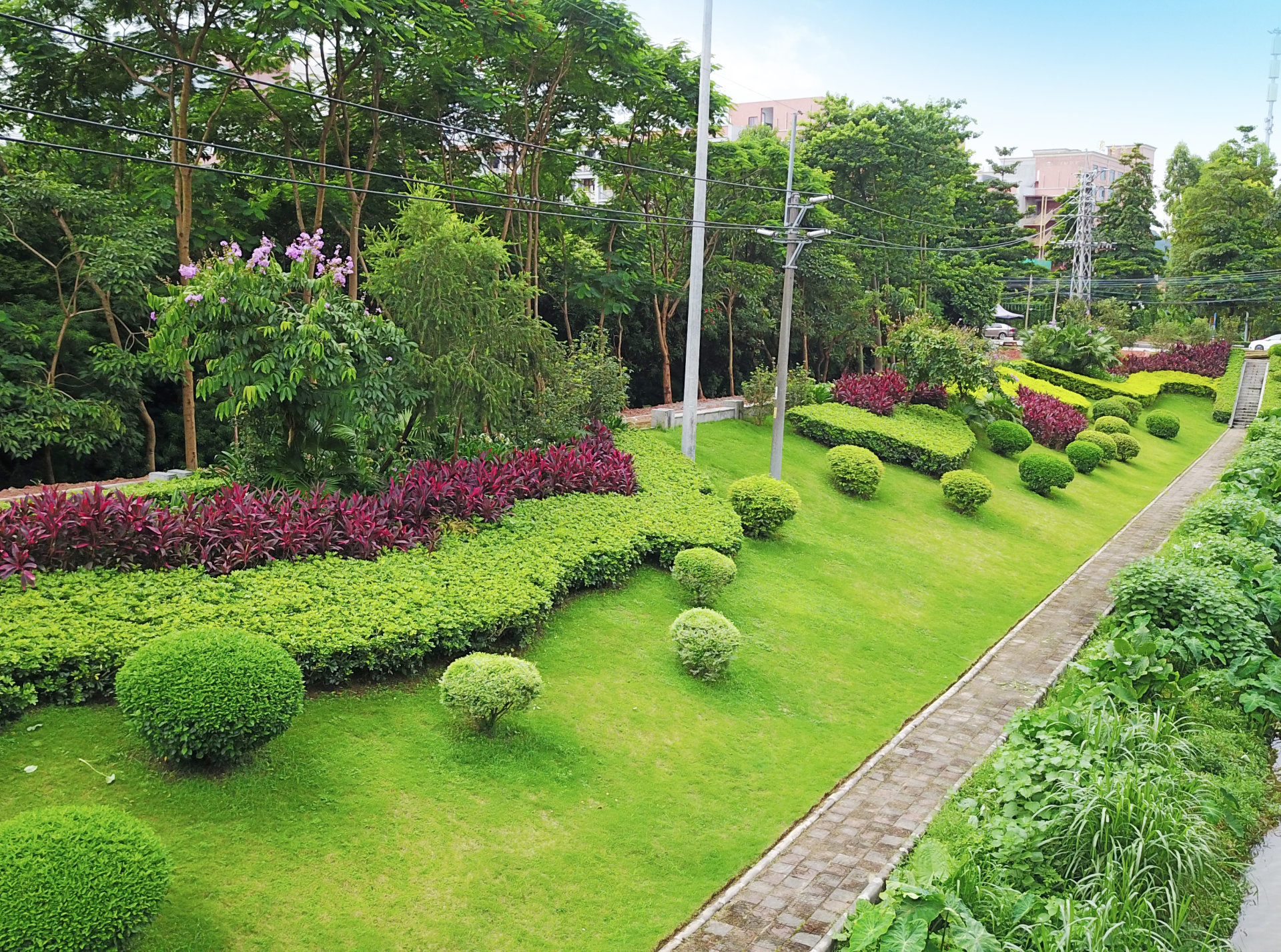 07龙洞北路-绿篱线条.jpg
