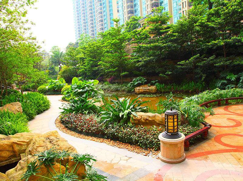 小区园景.jpg