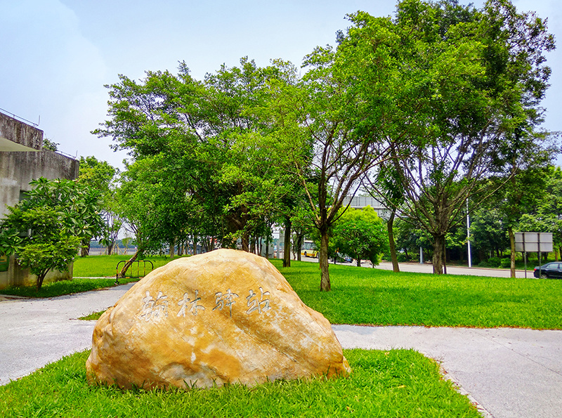 广州·大学城主干道景观建设