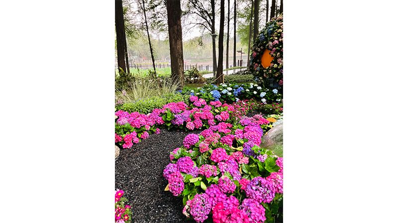 花容粤貌，绿韵新湾 — 第30届广州园林博览会