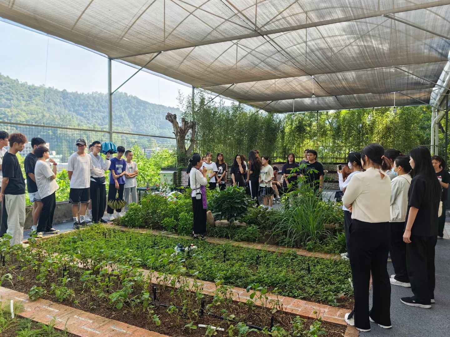 校企共建结硕果-园林芳香植物·实训工坊