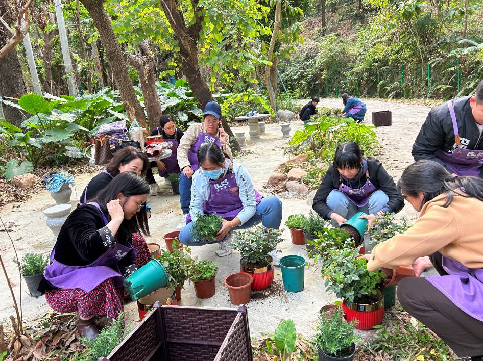 草木芳华 手留余香 | 凤凰街道妇联“三八”妇女节活动花絮