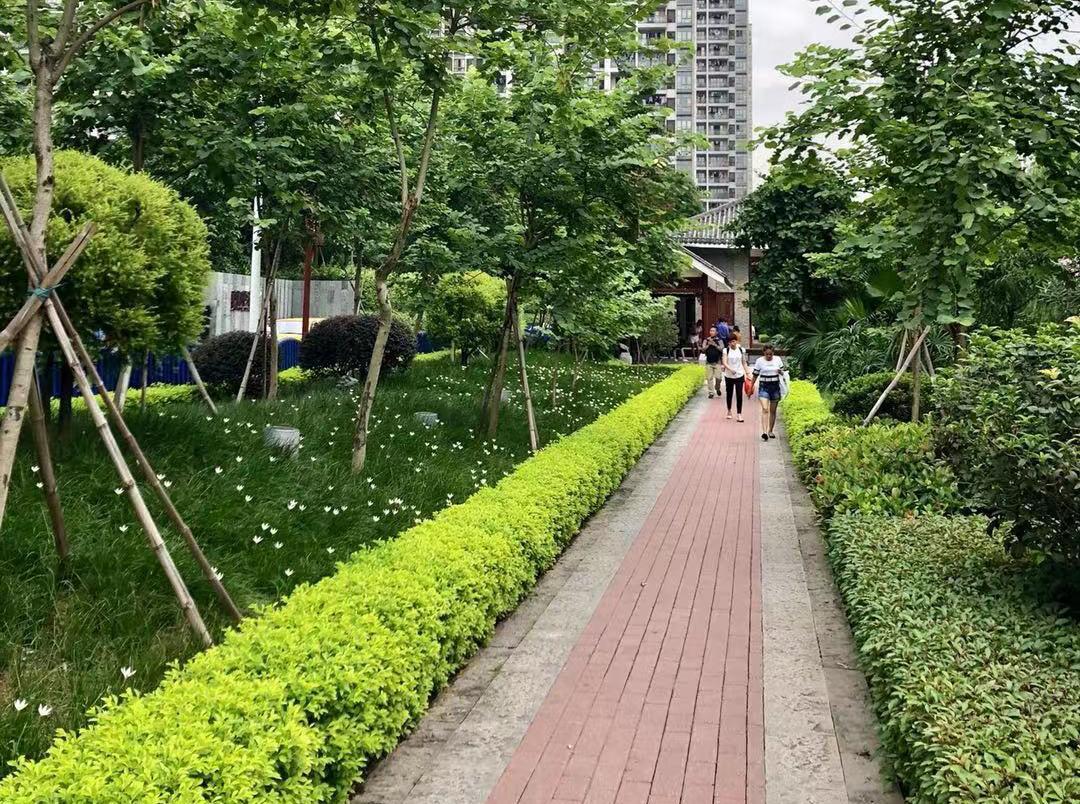 微信图片_201907261026145.jpg
