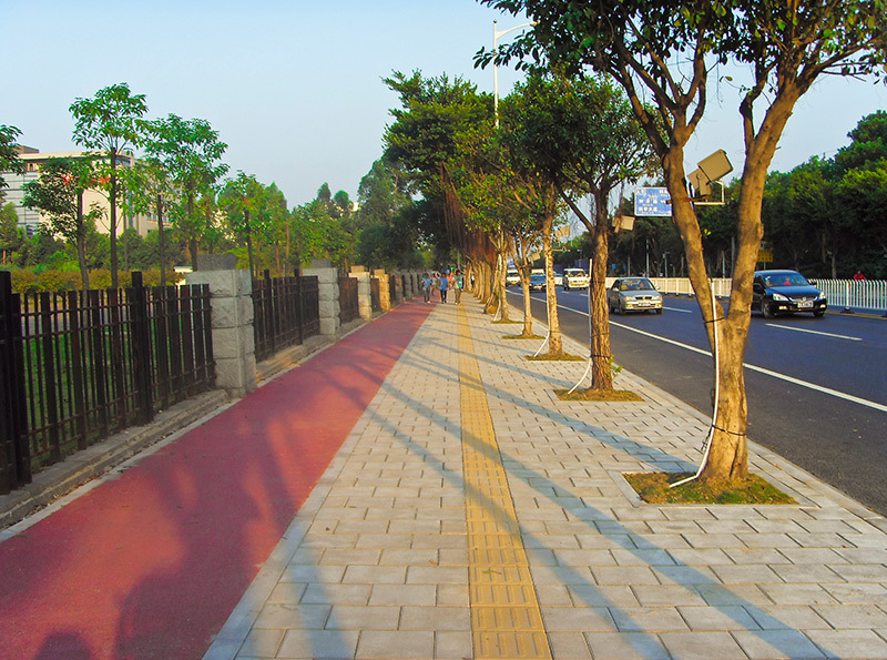 绿树成荫.jpg