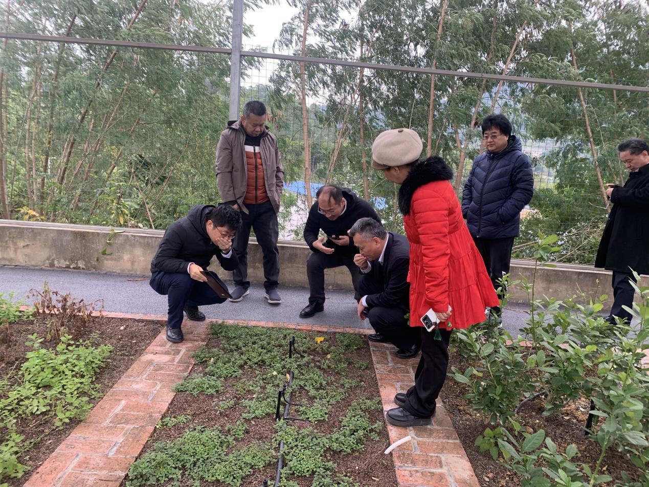 越秀地产公司领导参观我司园林芳香植物工坊