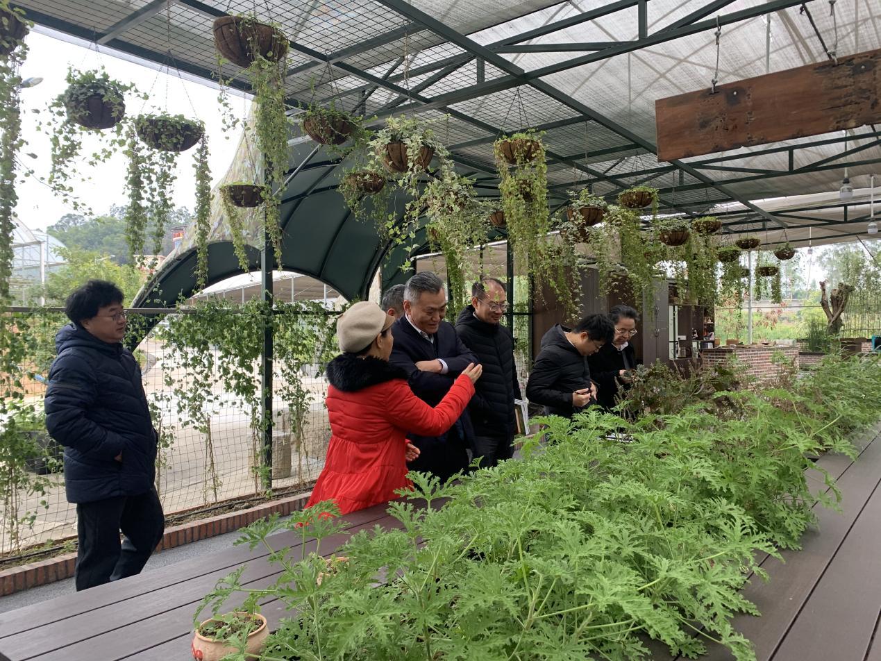 越秀地产公司领导参观我司园林芳香植物工坊