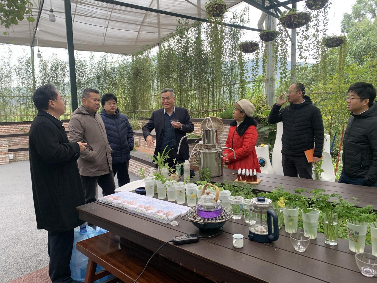 越秀地产公司领导参观我司园林芳香植物工坊