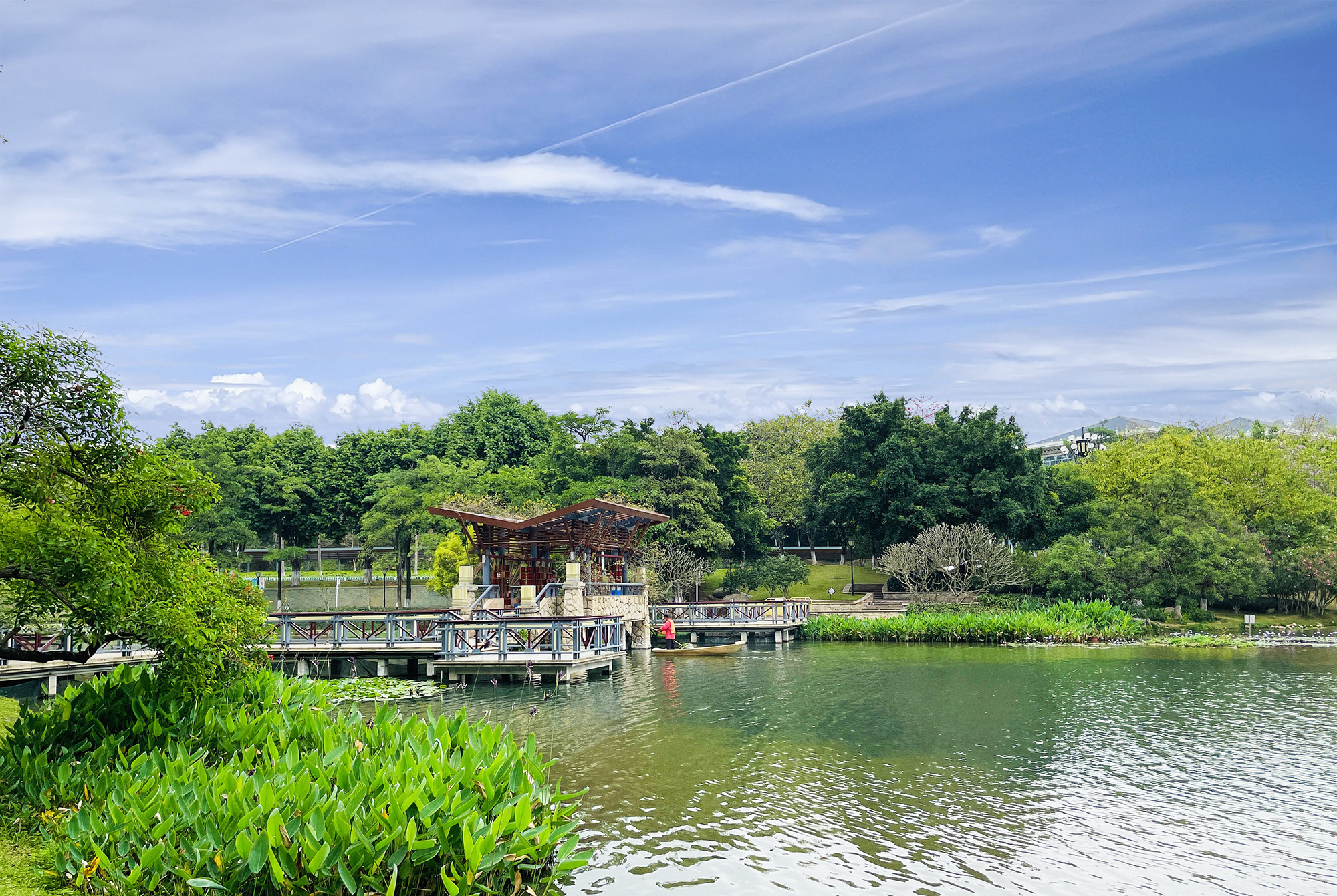 湖光春色cy.jpg