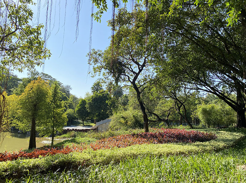 广州天河公园 (5).jpg