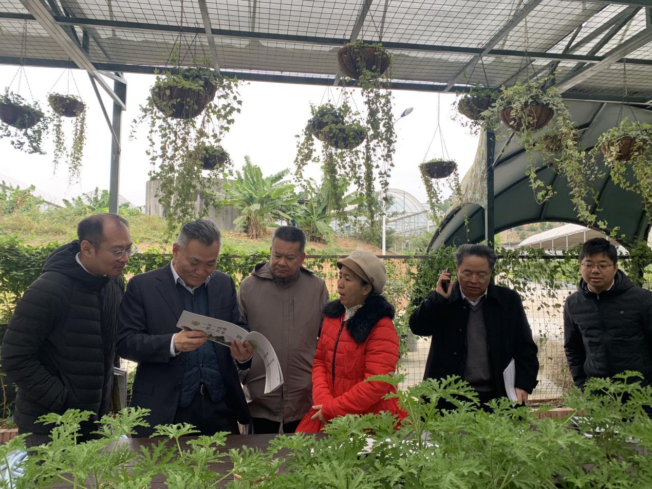 越秀地产公司领导参观我司园林芳香植物工坊