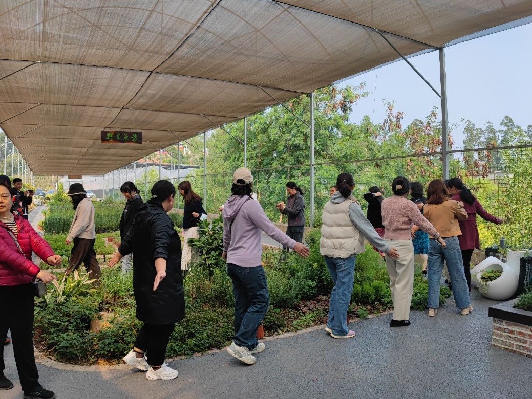 草木芳华 手留余香 | 凤凰街道妇联“三八”妇女节活动花絮