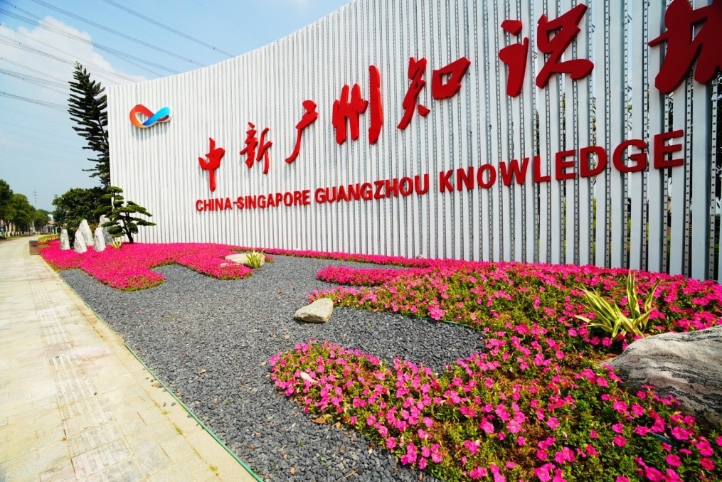 打造“一路一景”的中新广州知识城道路景观绿化