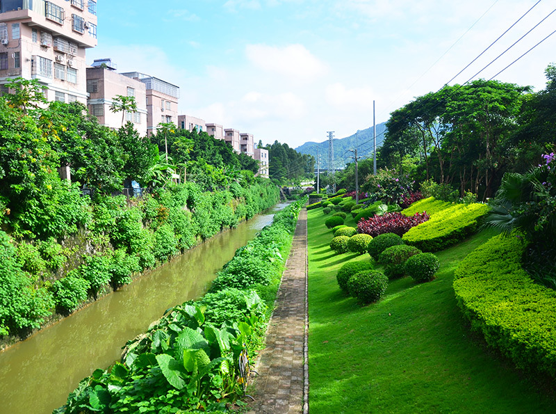 广州市天河区绿化 