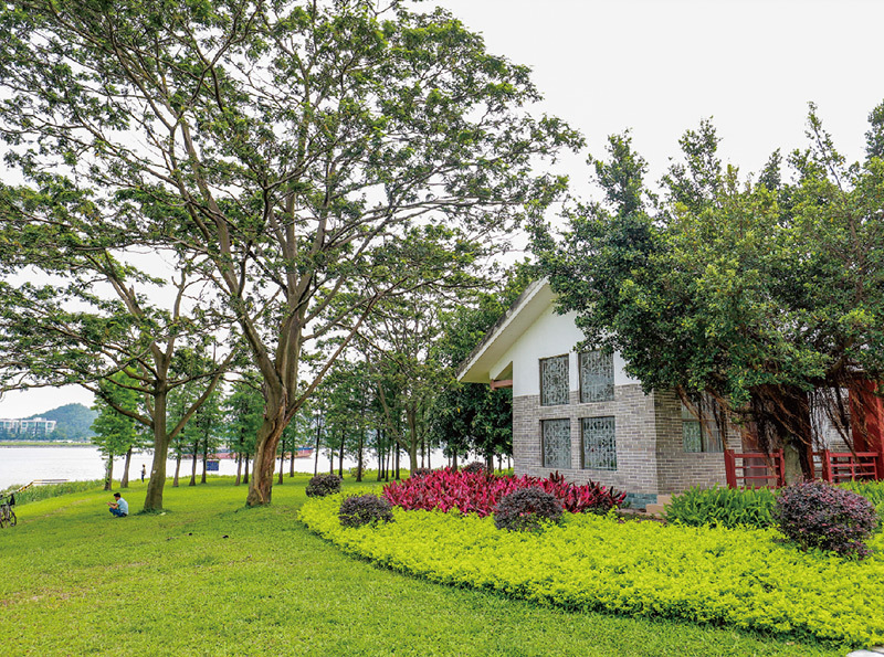 大学城公共绿化