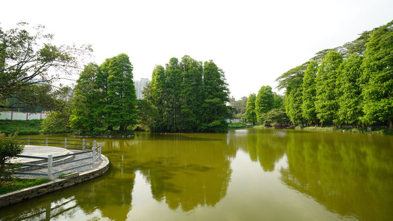 天河公园4.jpg